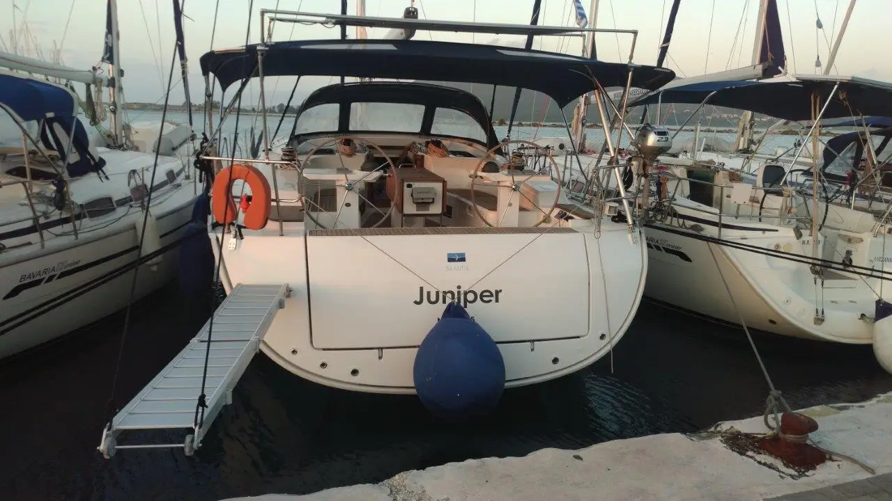 Juniper, photograph 8