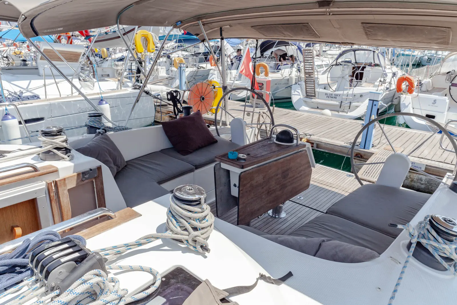 Sail Vega, photograph 11