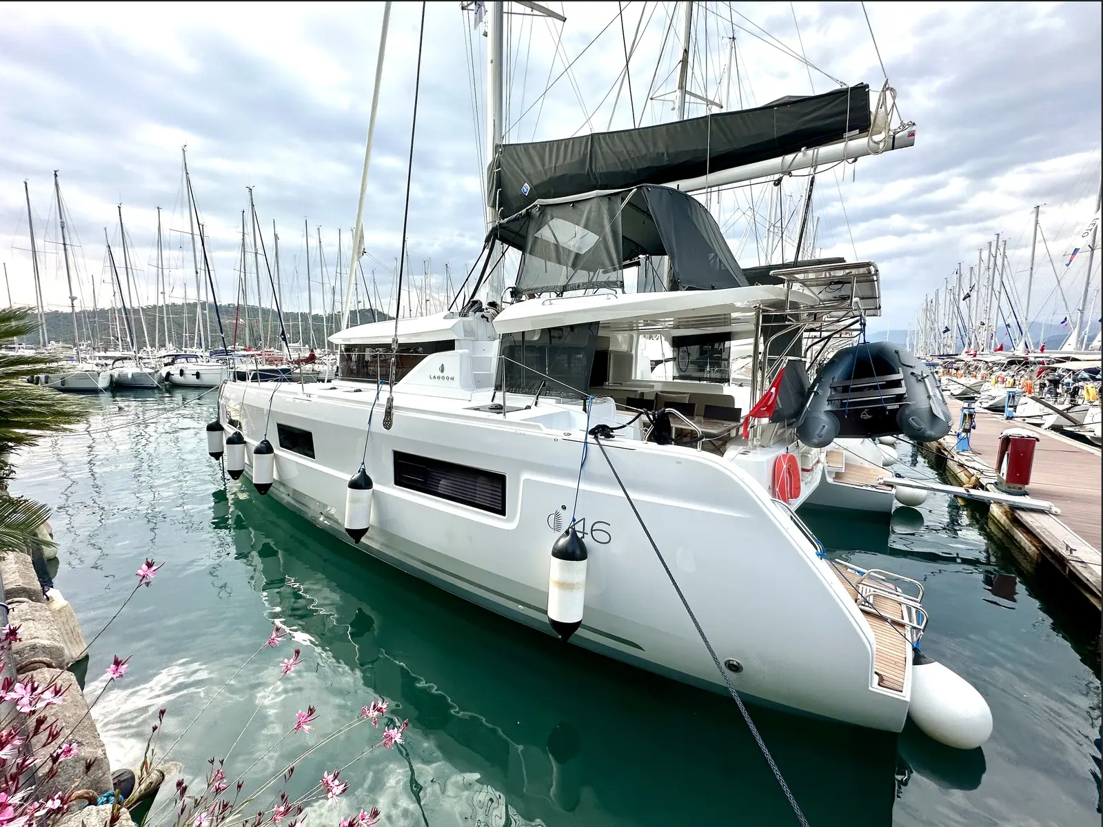 Sail Pegasus, photograph 18