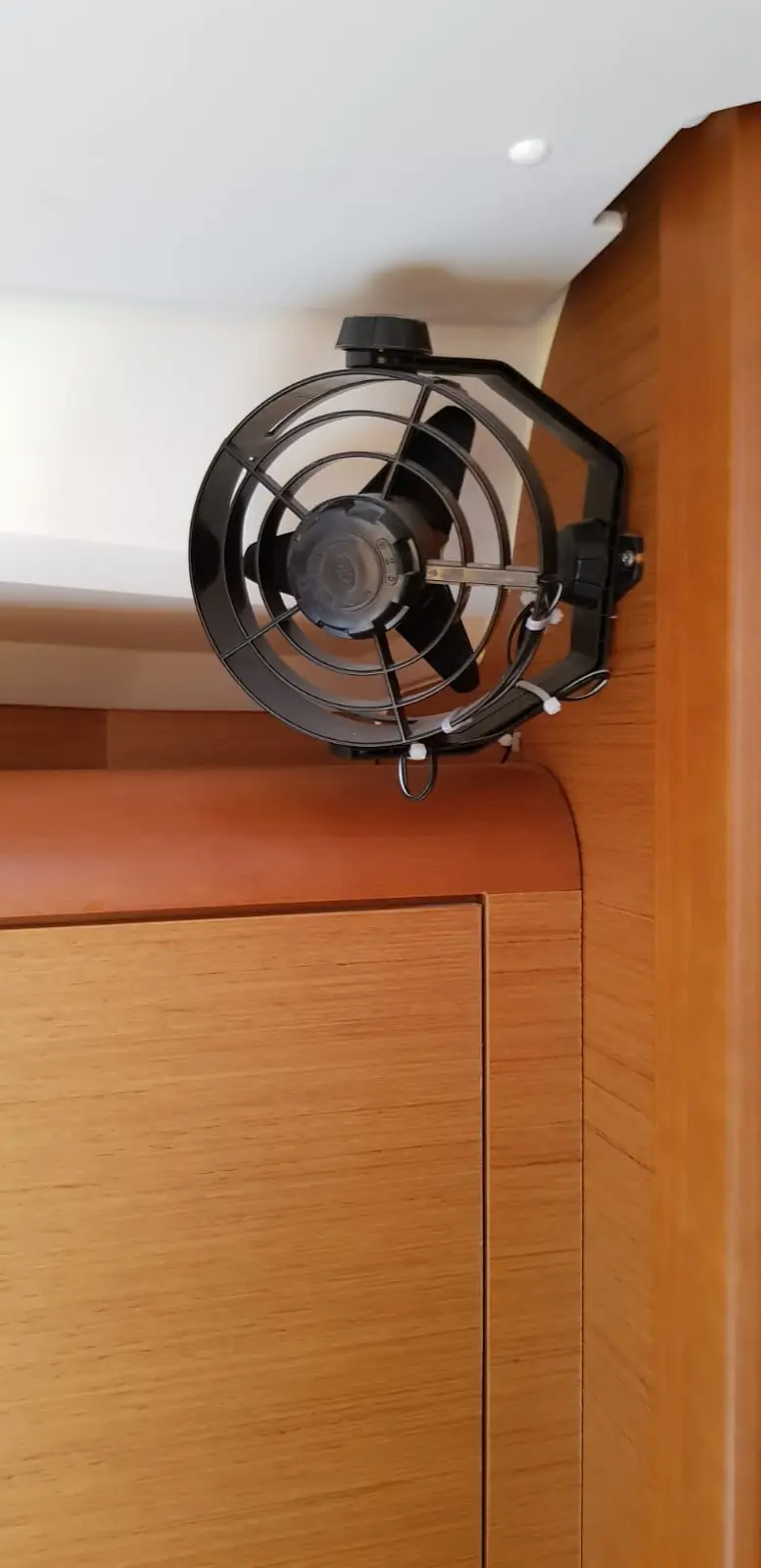 Pata, foto 8