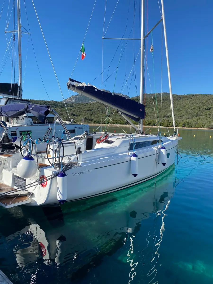 Delfino, foto 11