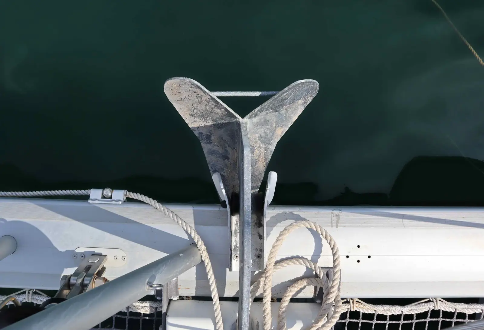 STARFISH, photograph 7