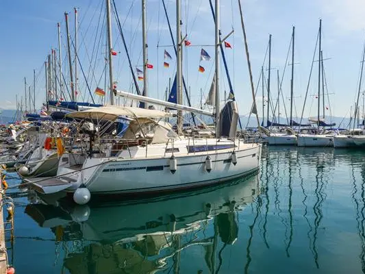 Kedi, Main image
