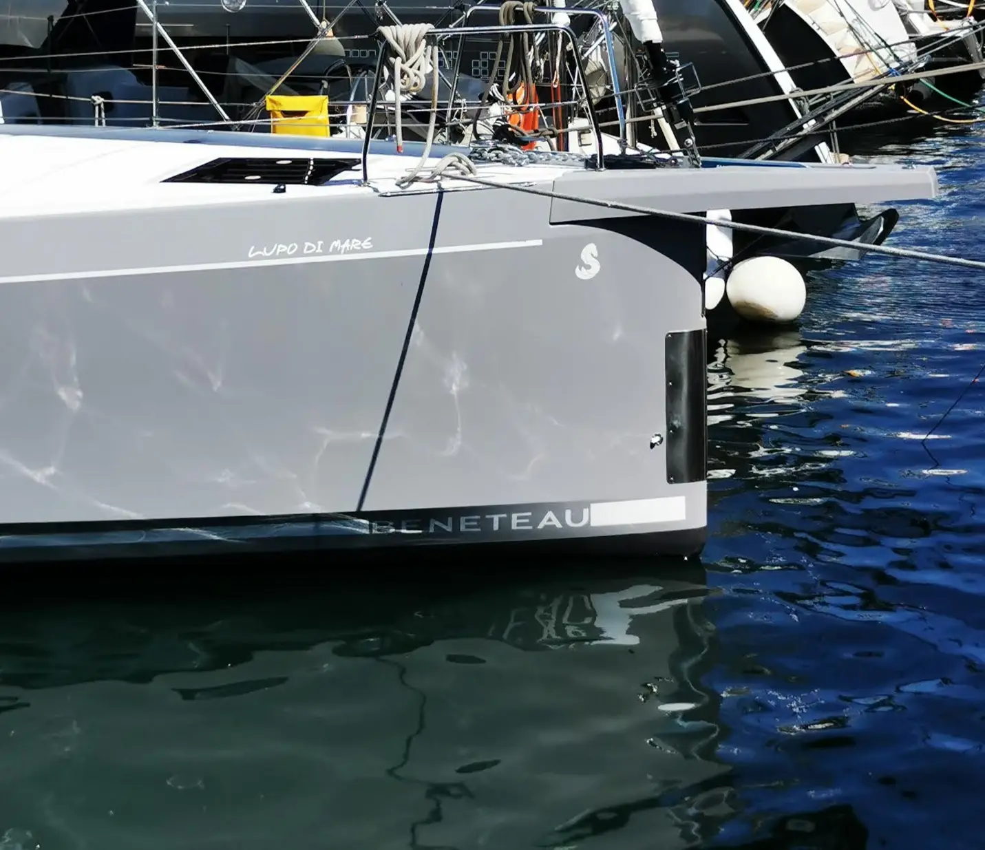 Lupo Di Mare, photograph 3