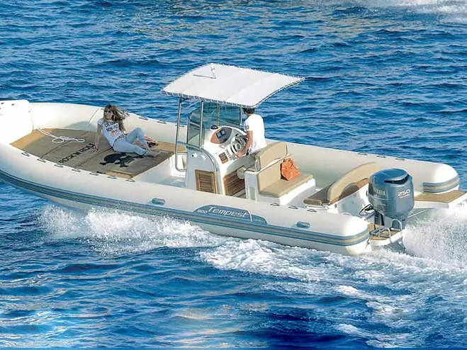 Maxi Rib, photograph 4