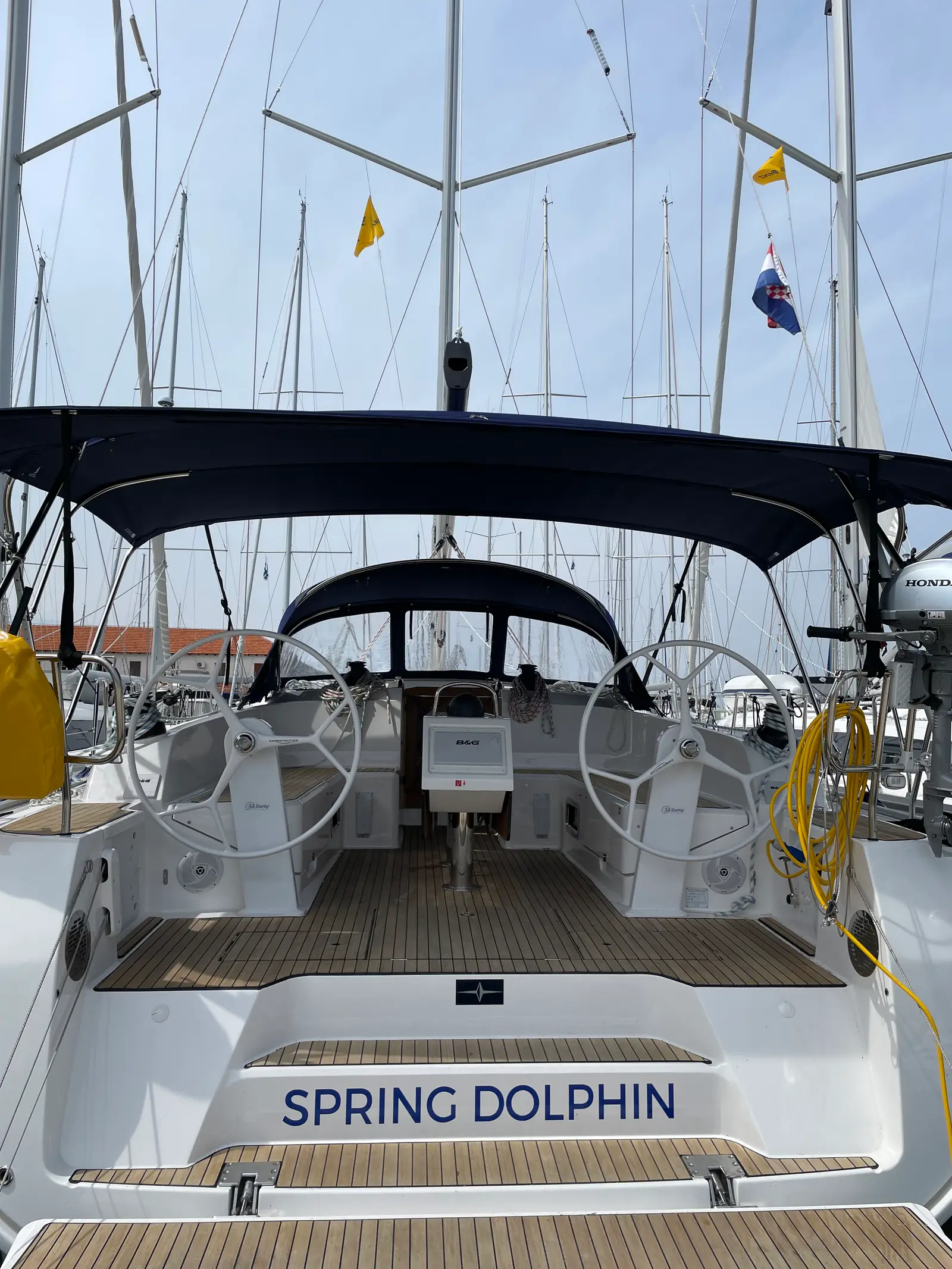 Spring Dolphin, foto 6