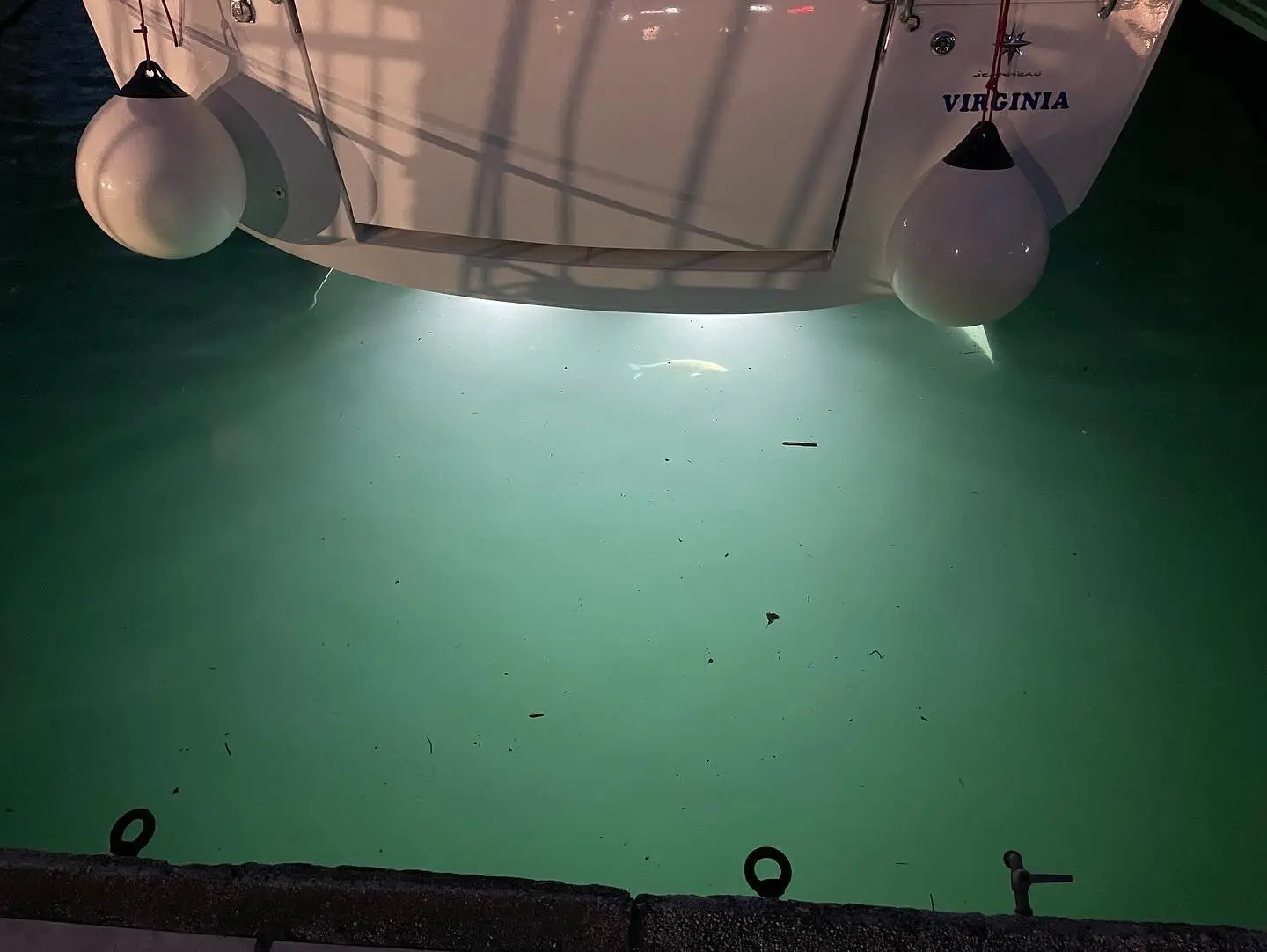 Virginia (A/C, Gen. 10kVA, Watermaker 160L/h, Electric Winch), foto 3