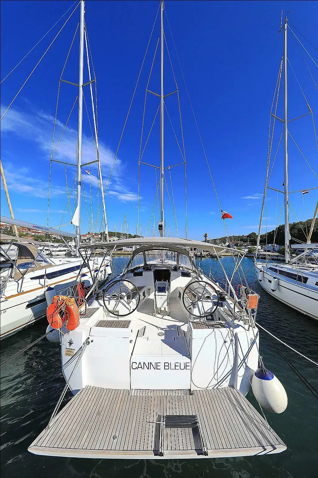CANNE BLEUE, photograph 2