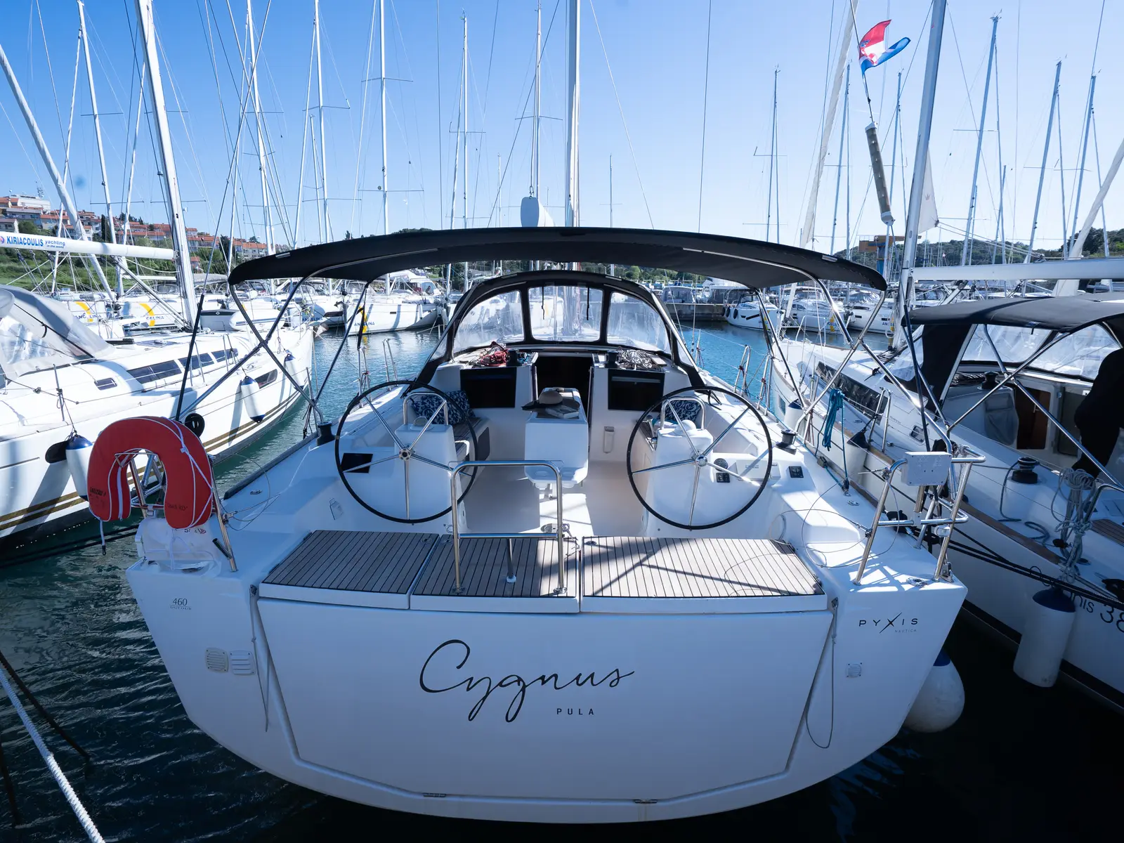 Cygnus, photograph 5
