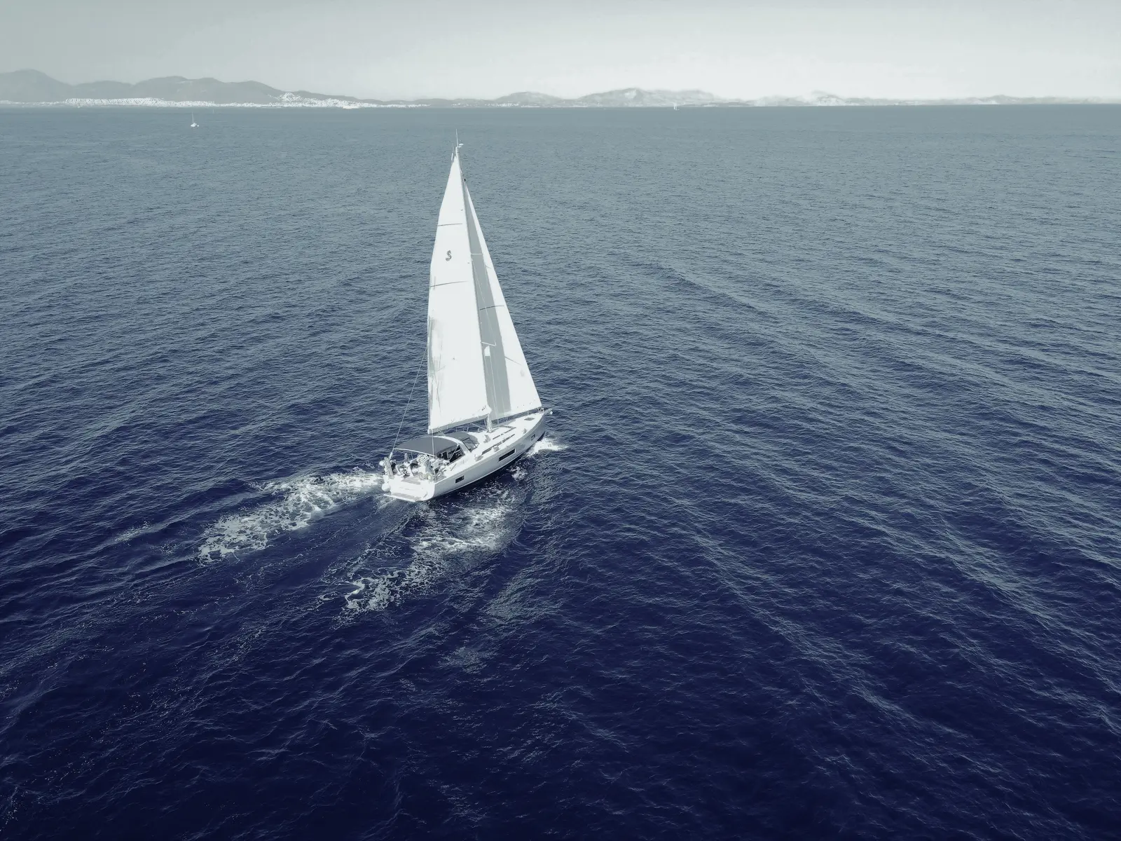 Lupo Di Mare, photograph 16