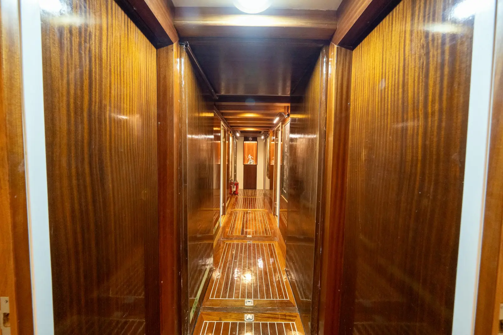 Premium, photograph 156