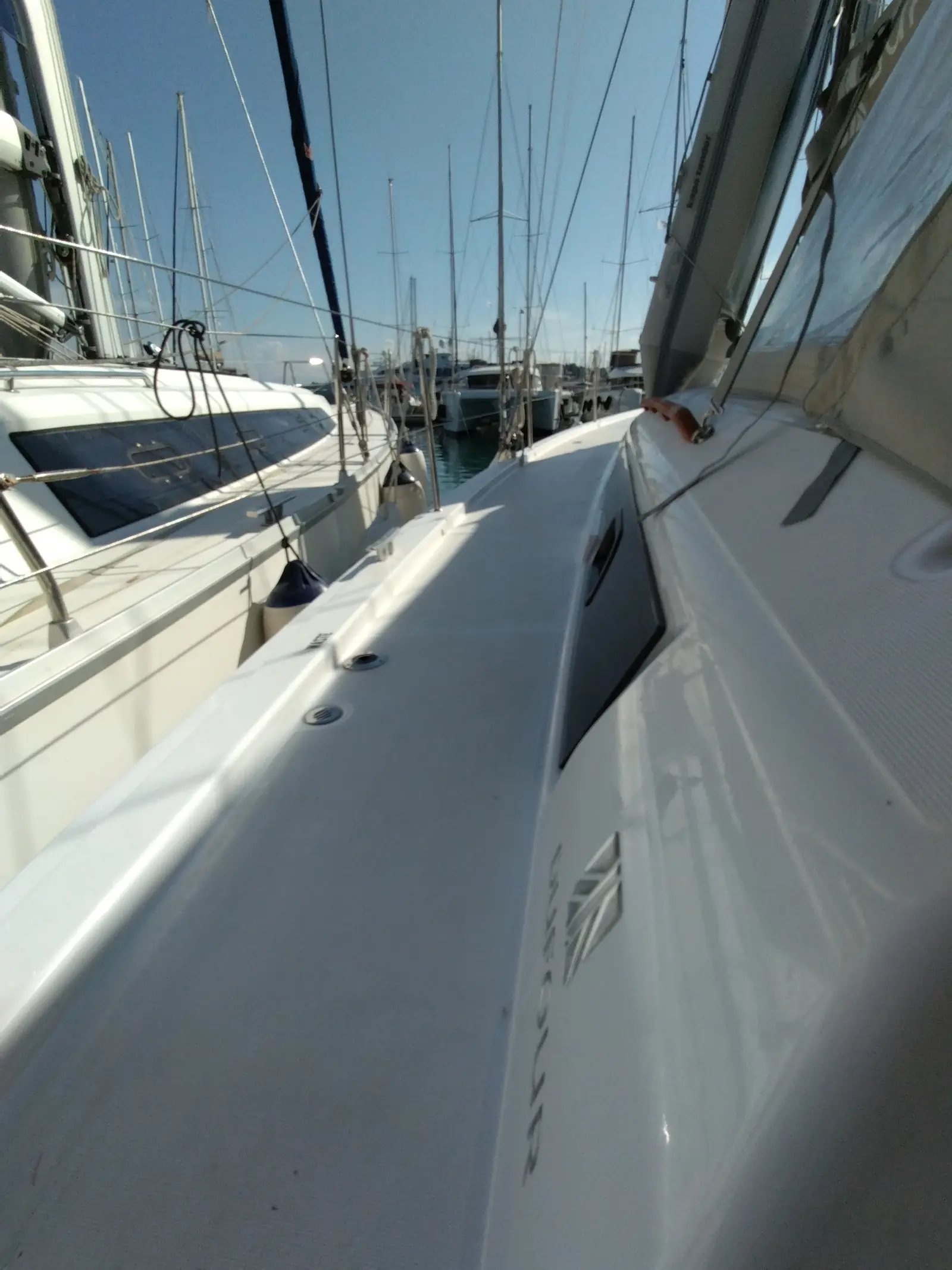 Triumph, photograph 3