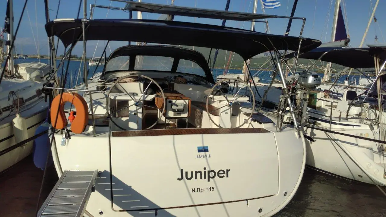 Juniper, photograph 7