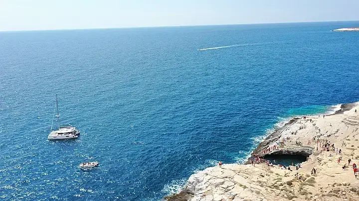 Anasa, foto 13