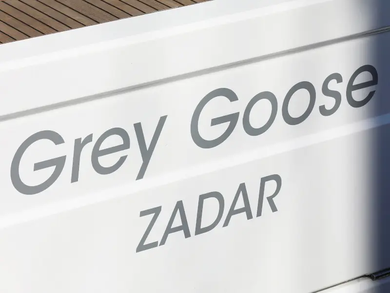 GREY GOOSE , photograph 6