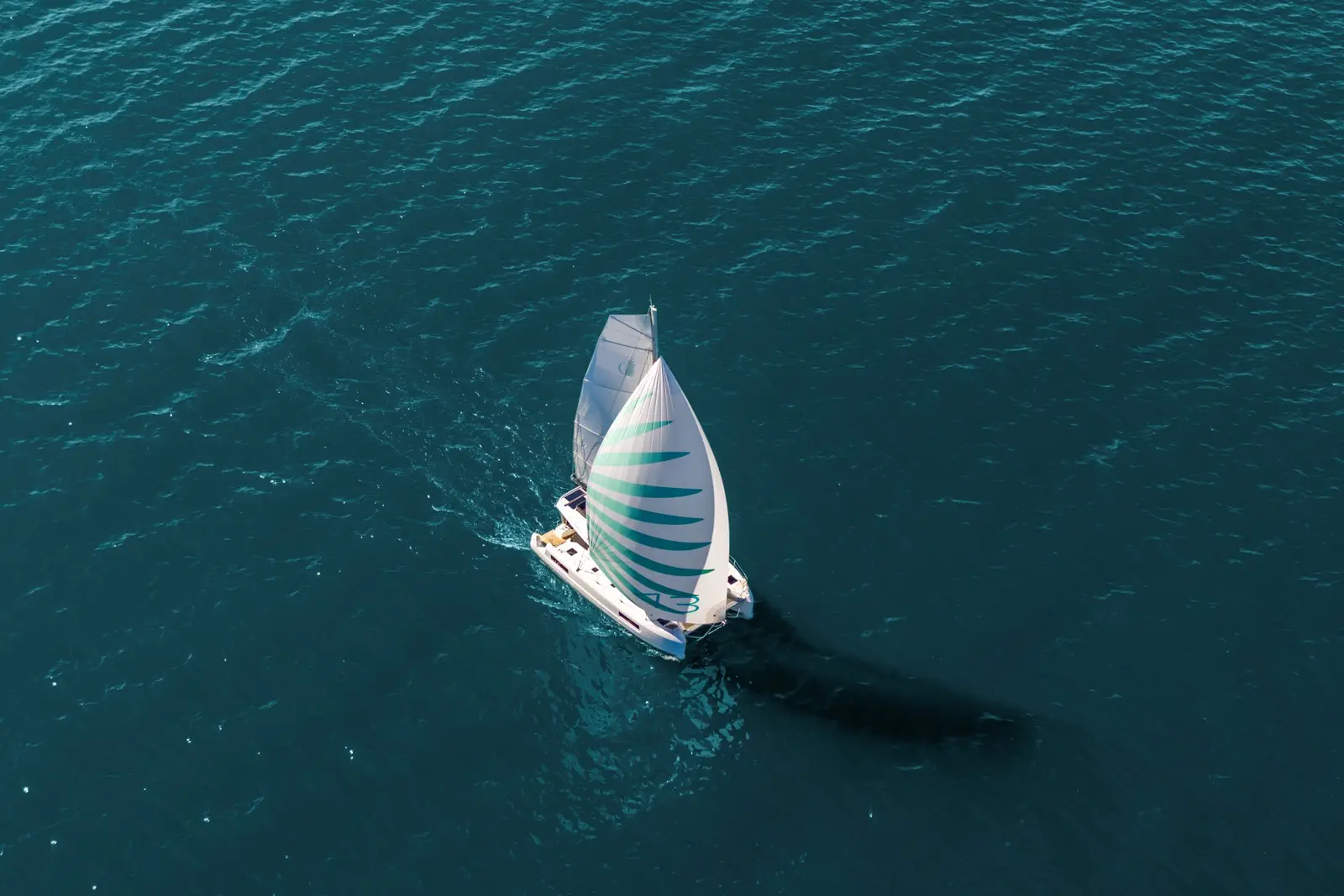 Anassa, photograph 17