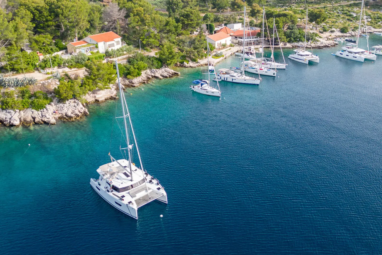 Calypso, foto 31