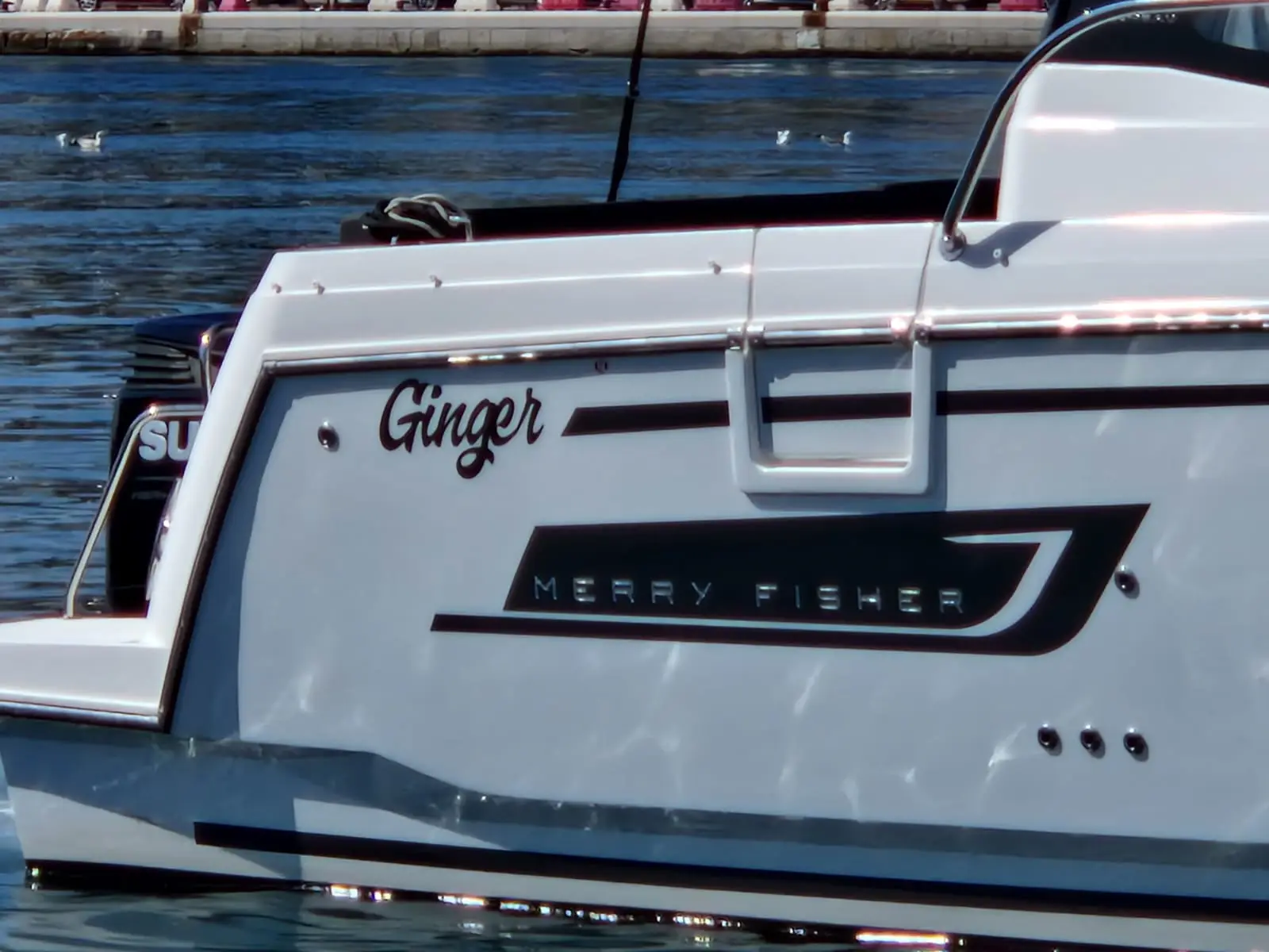 Ginger, photograph 8