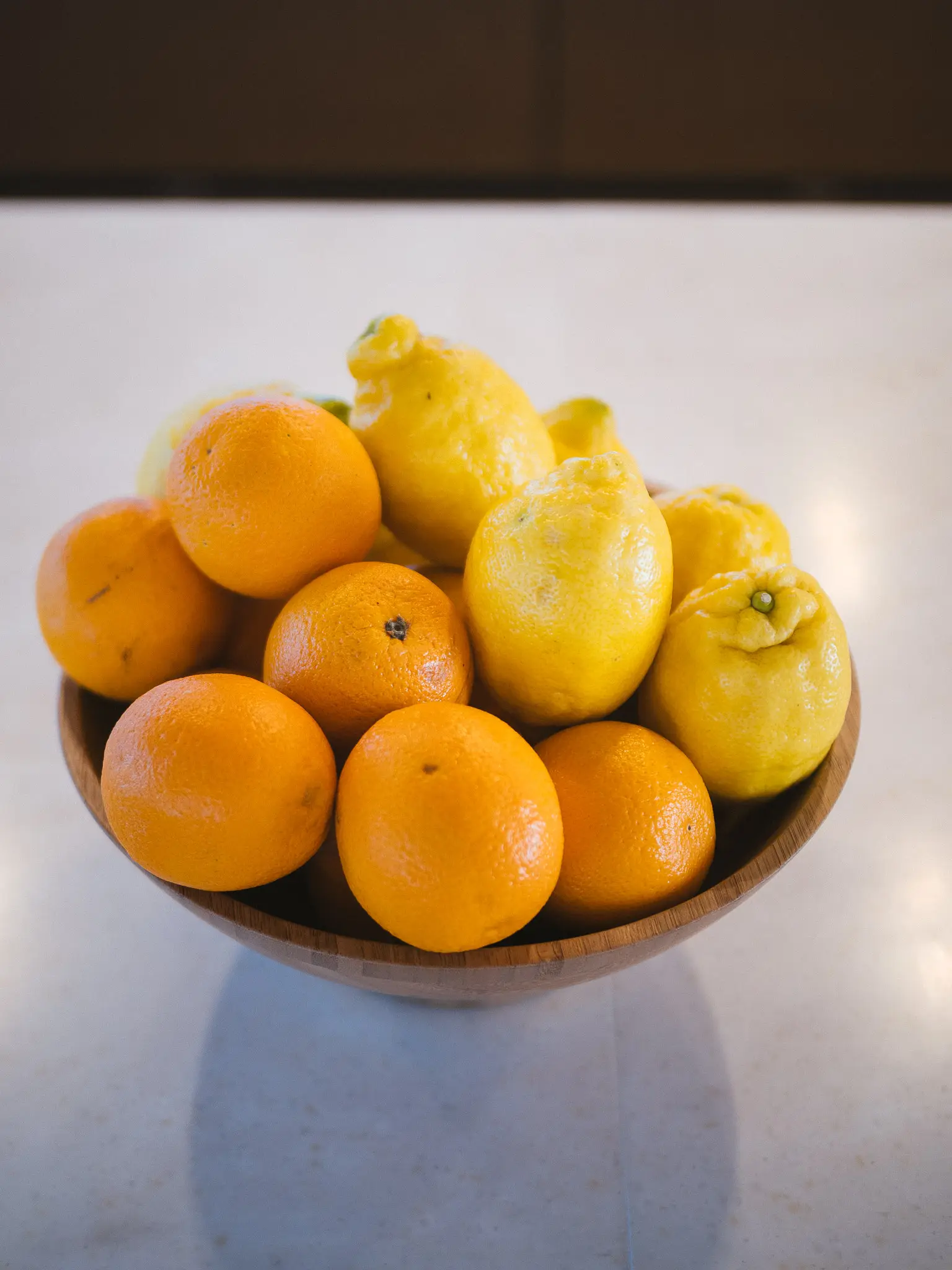 MIDORI , photograph 13
