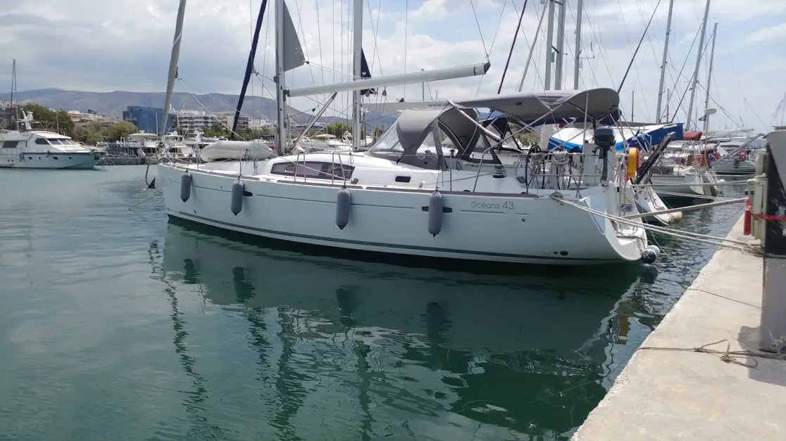 Beluga, photograph 9