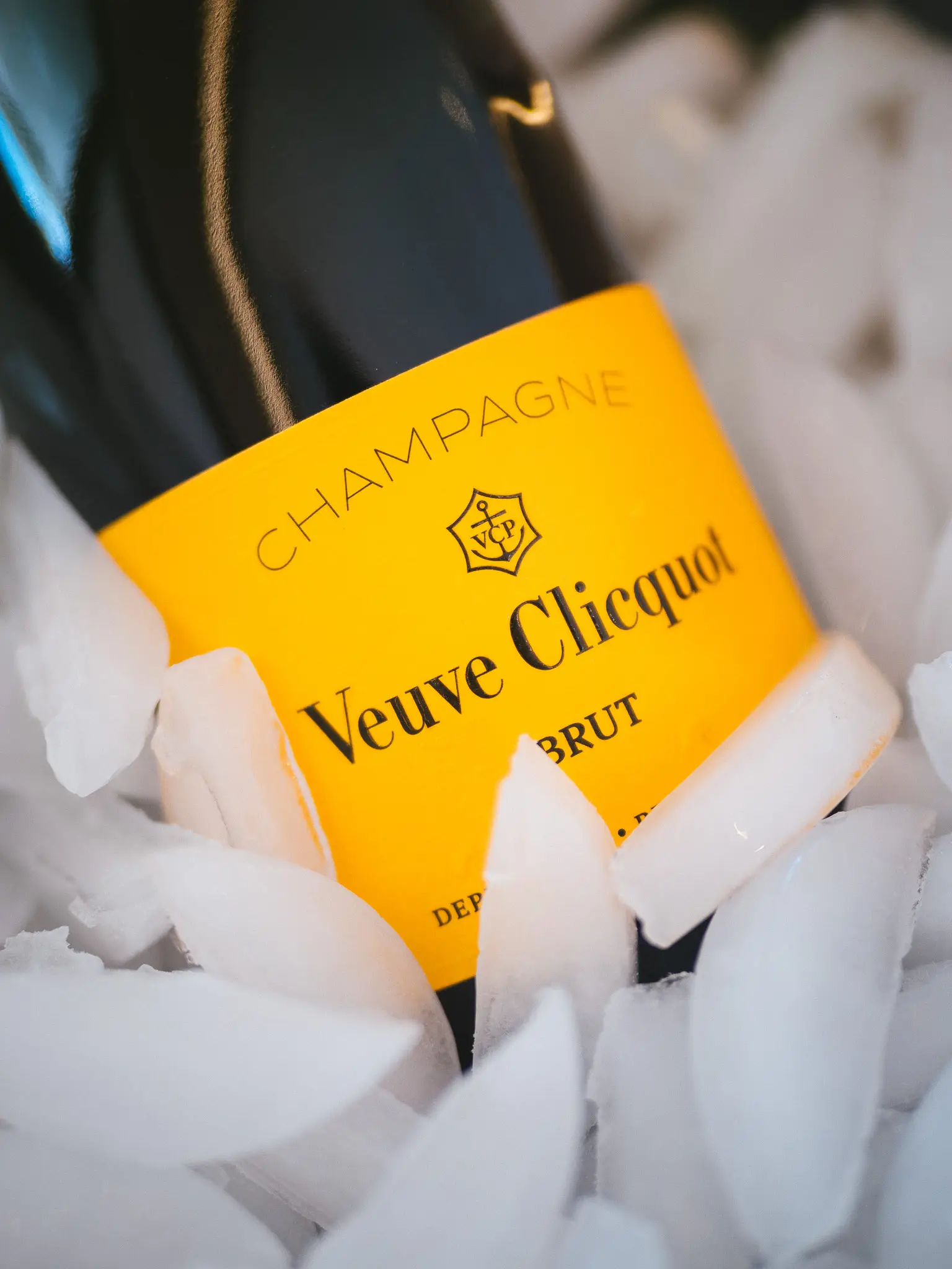 CHAMPAGNE PLEASE, photograph 32
