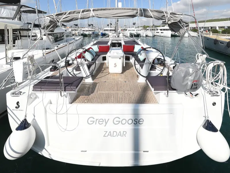 GREY GOOSE , photograph 19