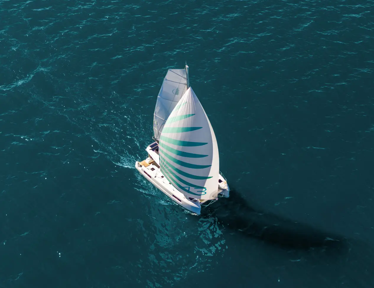 REA, photograph 7