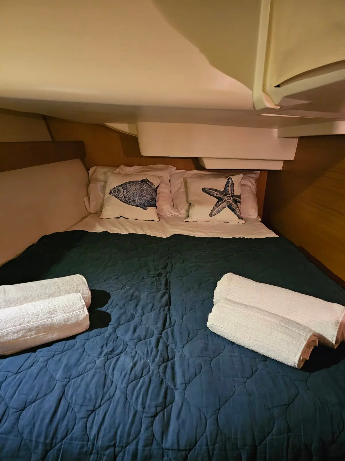 Comfort, photograph 27