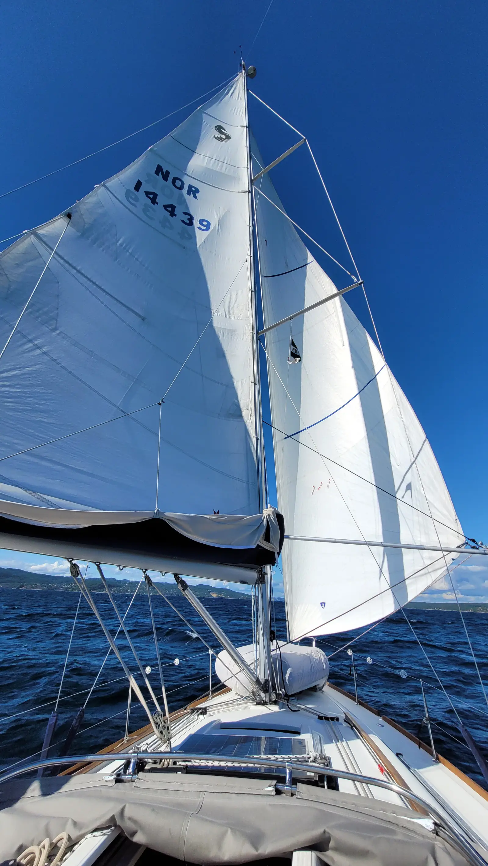 Serenade, foto 15