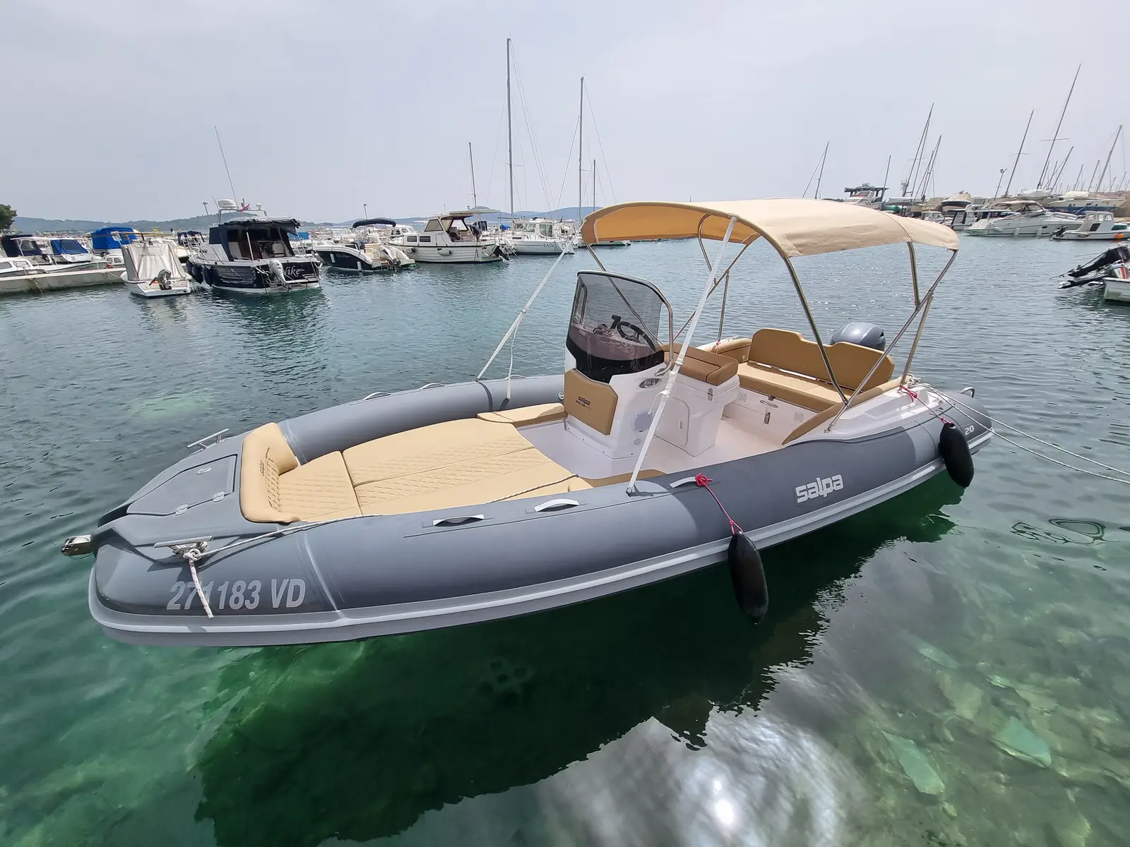Salpa, Salpa Soleil 20