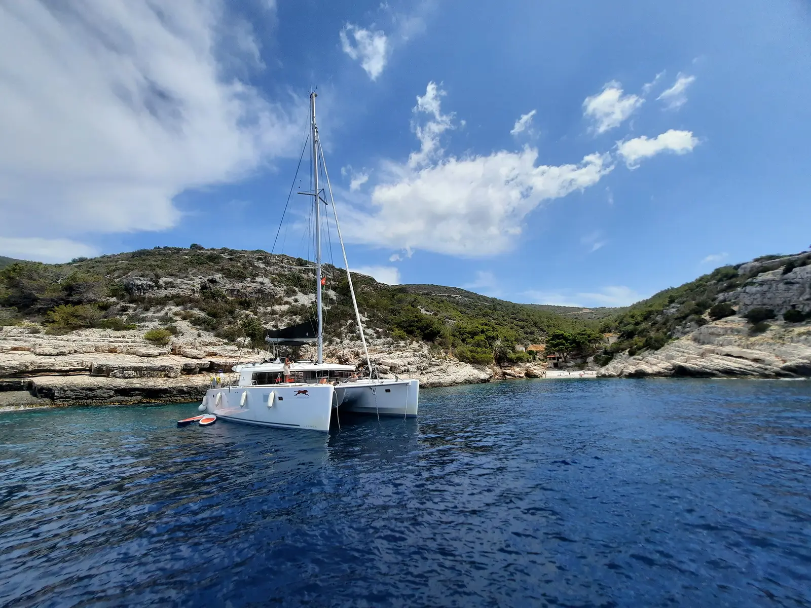 ADRIATIC CHEETAH, photograph 11