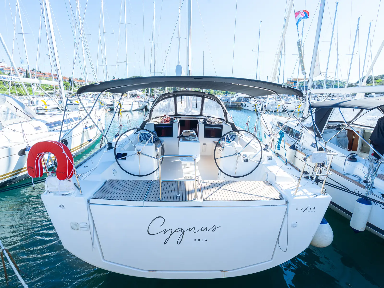 Cygnus, photograph 6