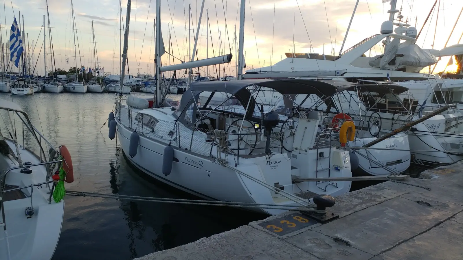Beluga, photograph 7