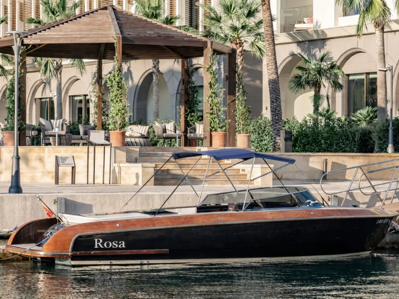 Rosa, Main image