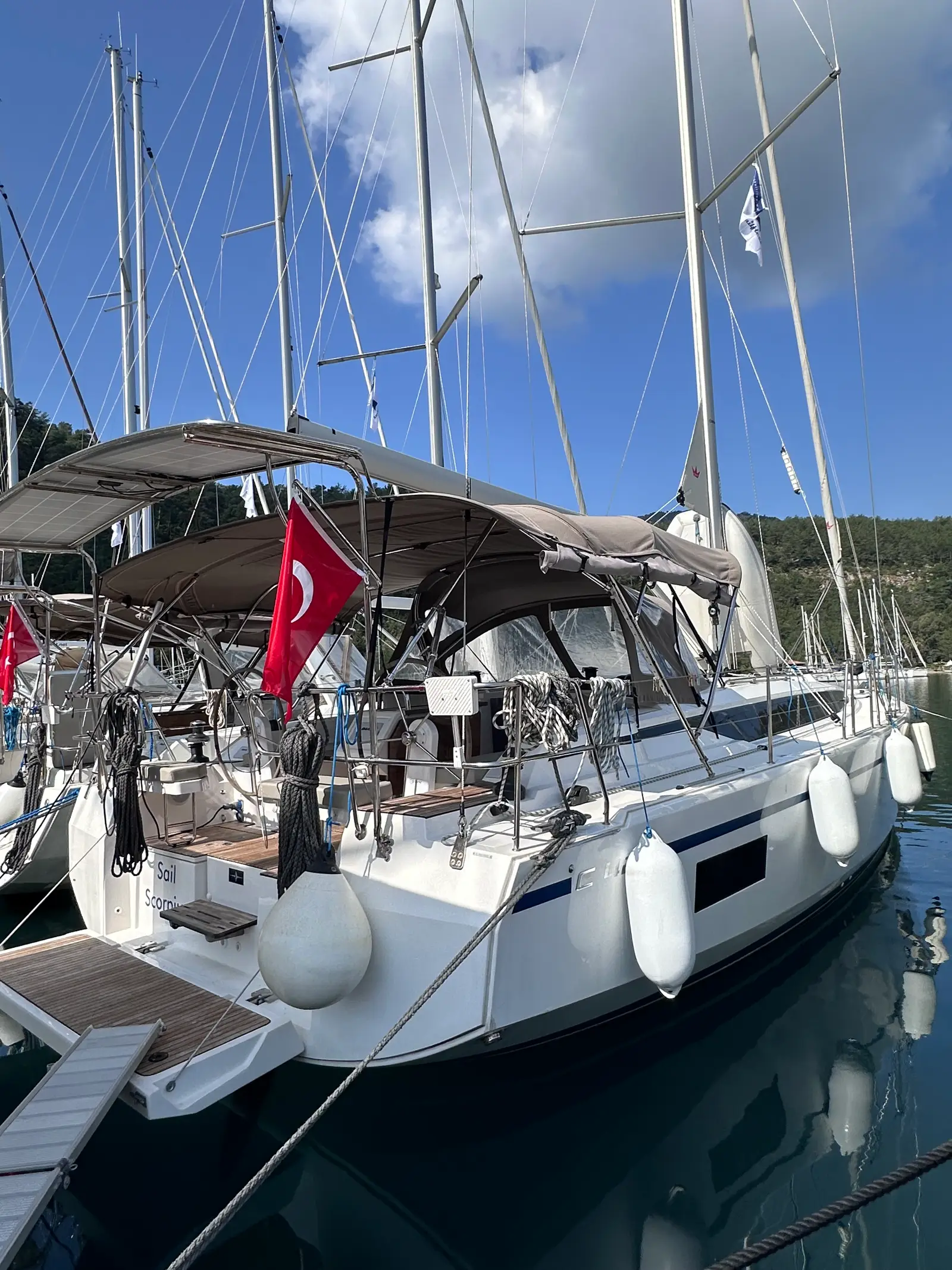 Sail Scorpius, photograph 4
