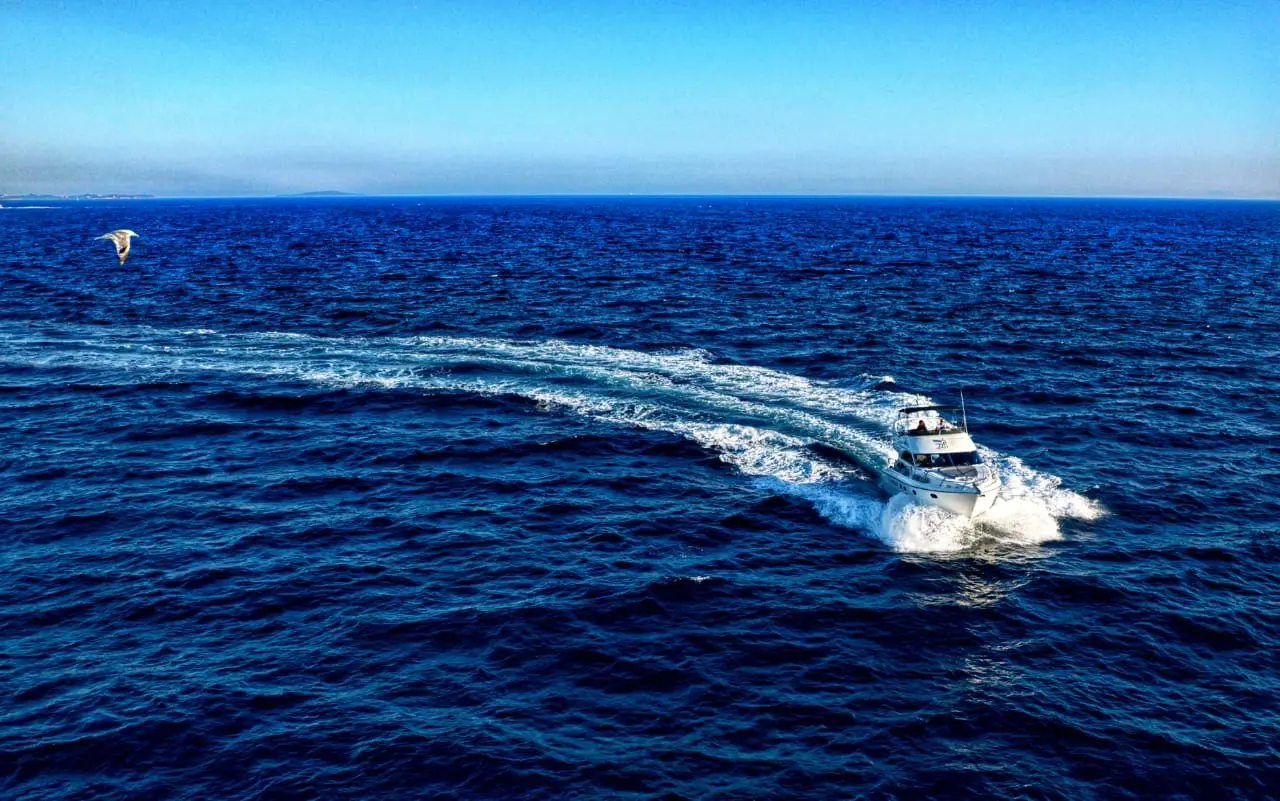 Carina, photograph 27