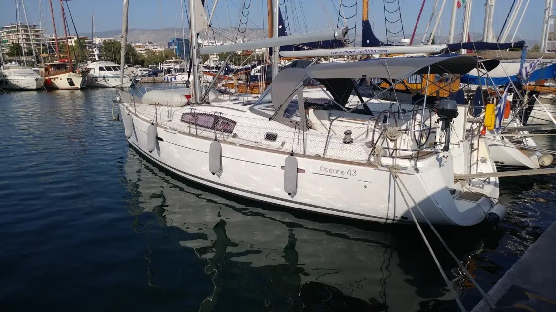 Beluga, photograph 5