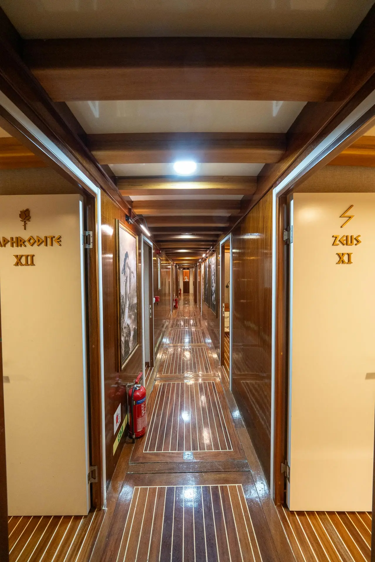 Premium, photograph 182