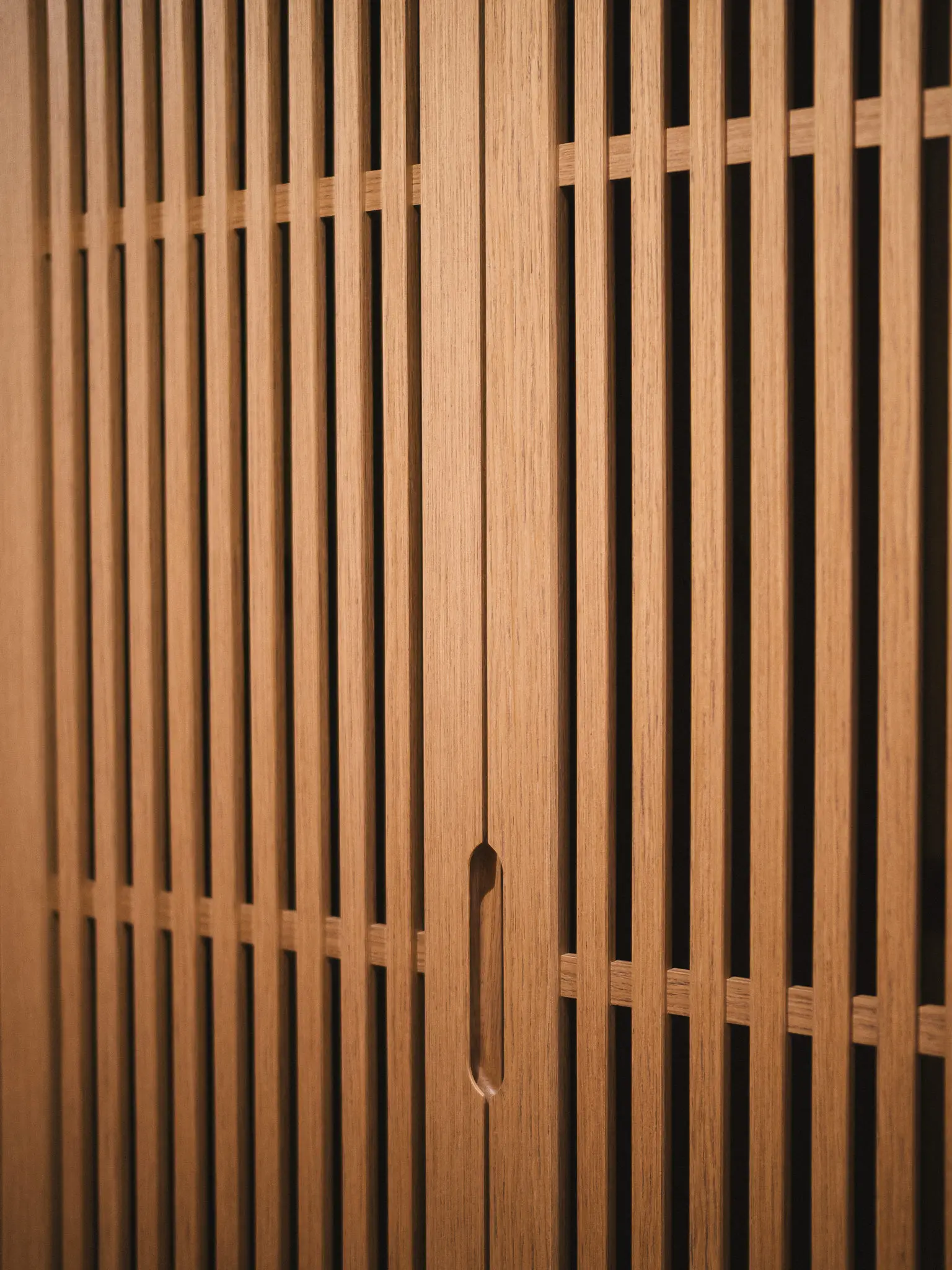 MIDORI , photograph 56