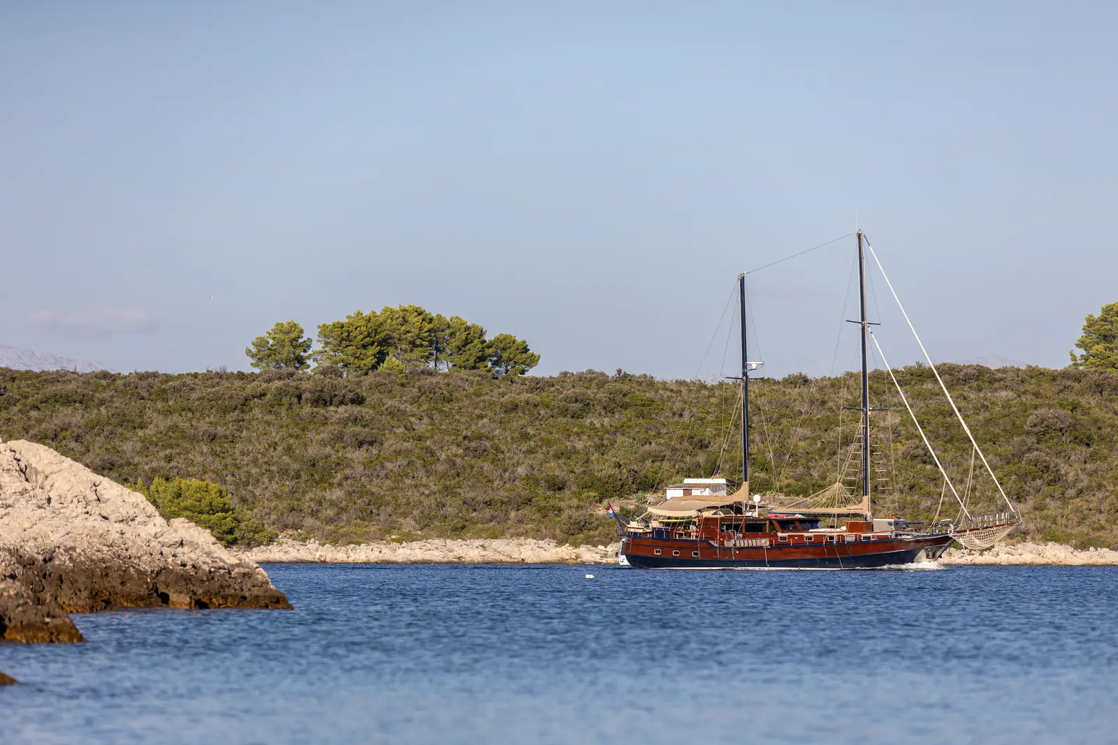 Pacha, foto 27