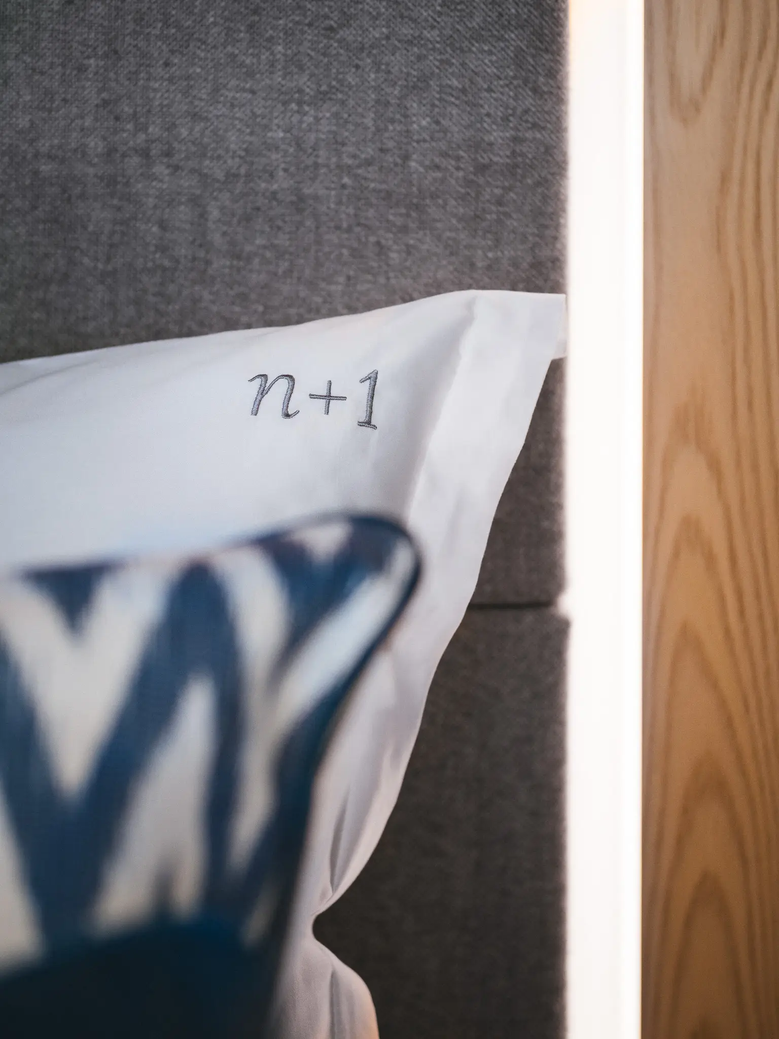 n + 1, photograph 6