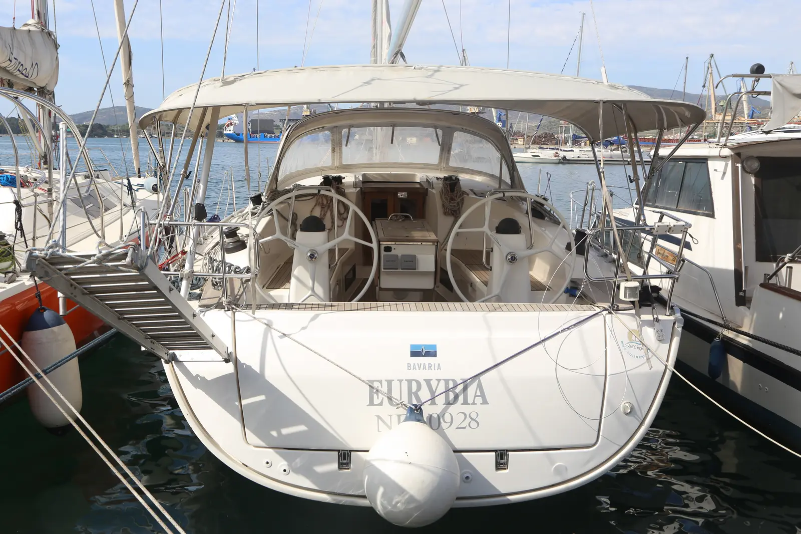 Eurybia, photograph 3