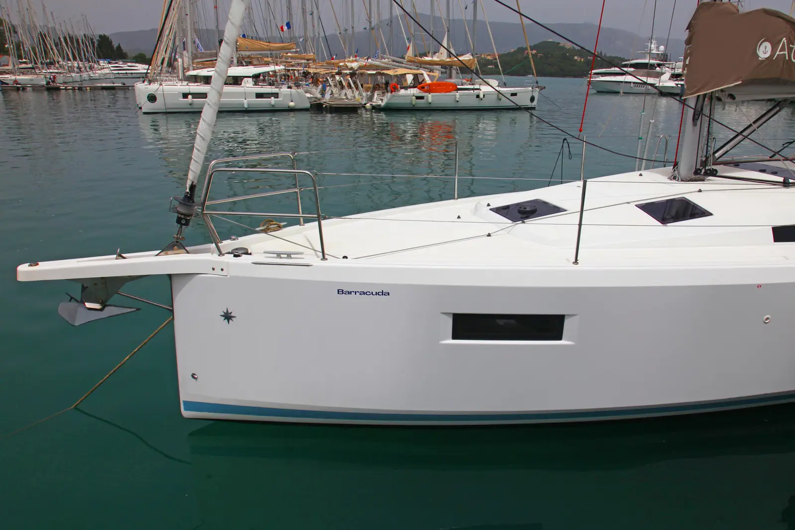 BARRACUDA, photograph 9