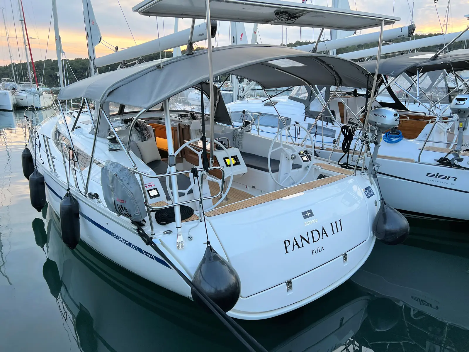Panda III, photograph 8
