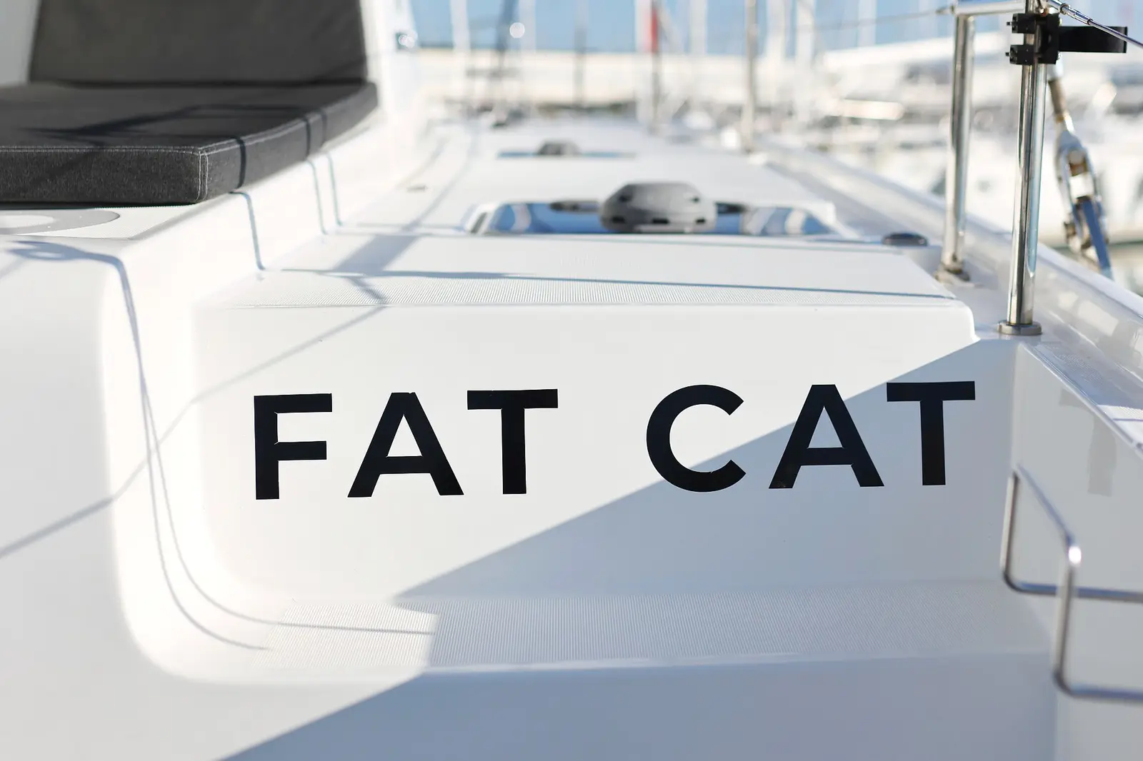FAT CAT, photograph 26