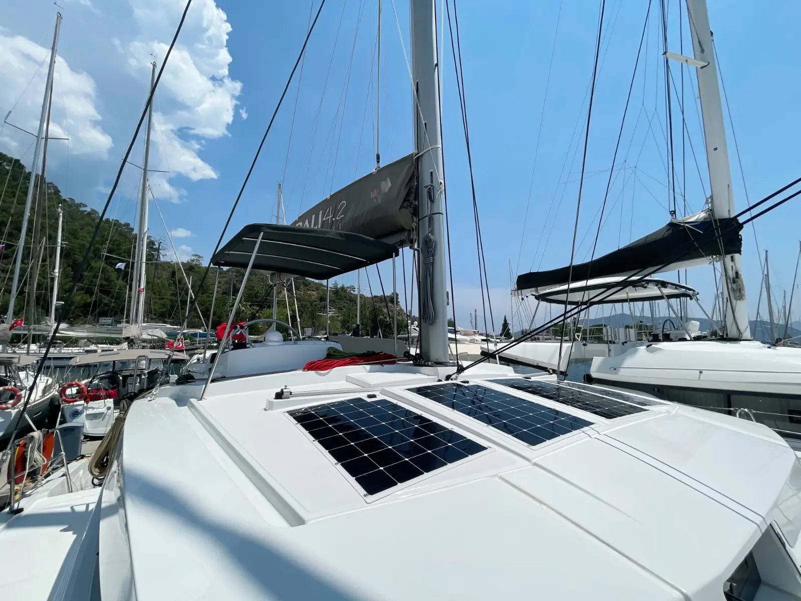 Bella II, foto 8