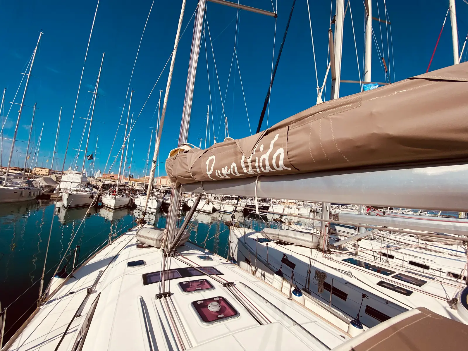Pura Vida (Pax 12), photograph 7
