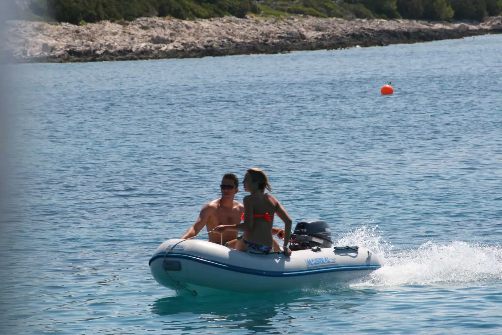 SEA LION, foto 16