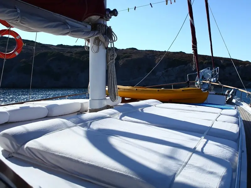 , photograph 6
