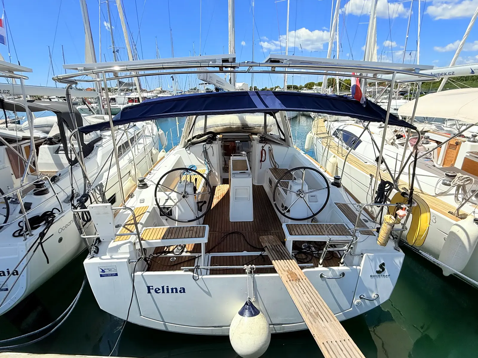 Felina, photograph 2